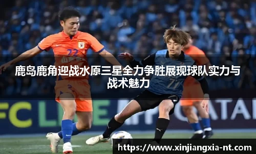 zoty中欧官网