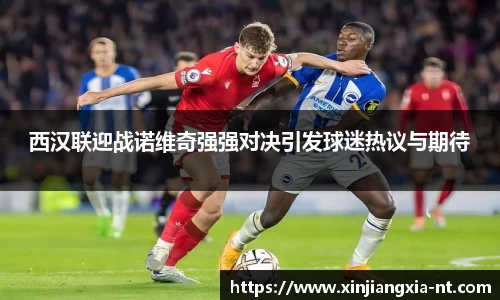 zoty中欧