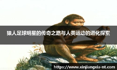 zoty中欧官方网站