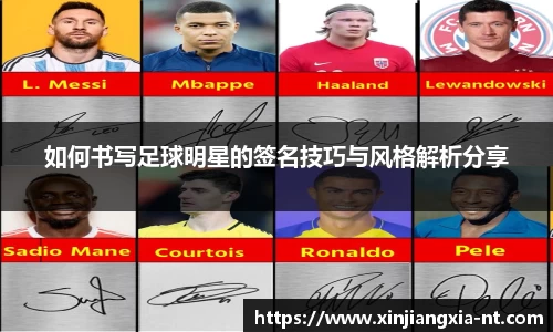 zoty中欧官方网站